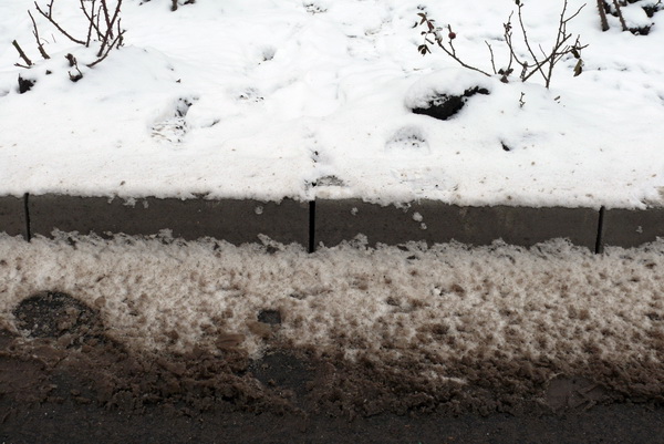 str. Republicii  rosturi.jpg